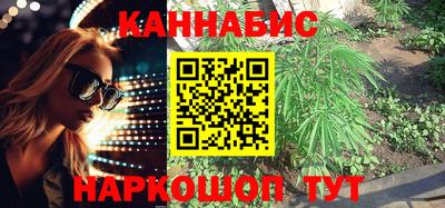 МДПВ Сланцы