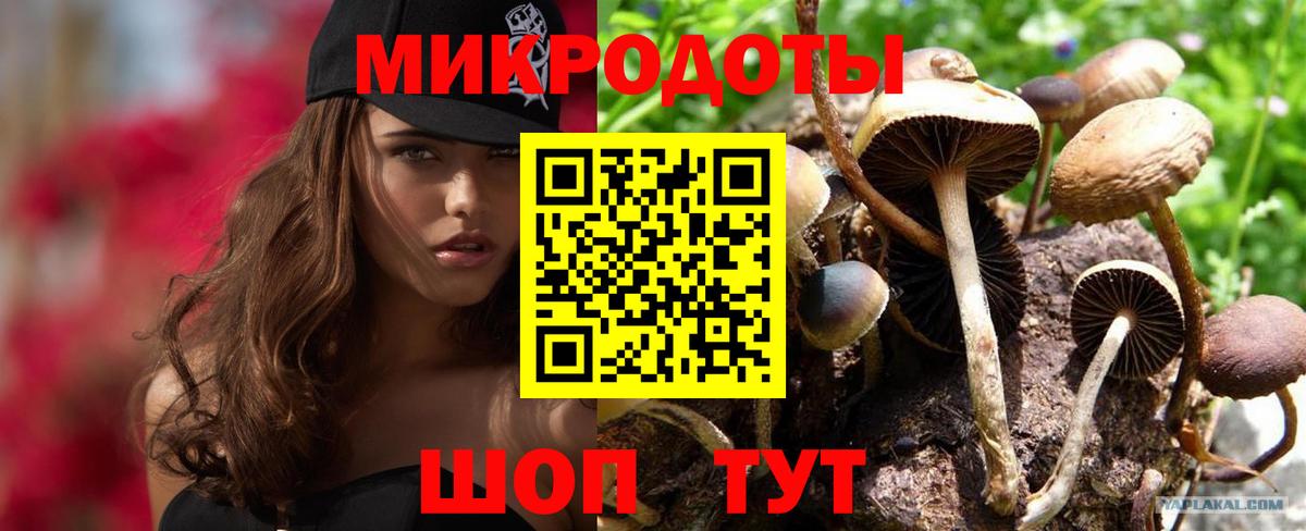 Галлюциногенные грибы Cubensis  Вход с VPN  Печора 